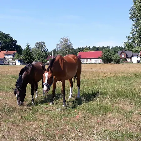 Kryniczanka