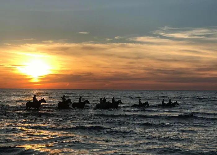 Rum i privatbostad Kryniczanka *