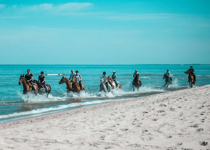 Kryniczanka Rum i privatbostad